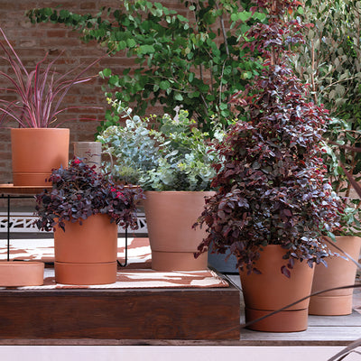 deroma plant pots DEROMA USA